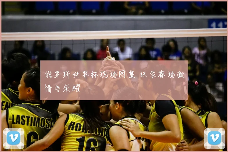 俄罗斯世界杯现场图集 记录赛场激情与荣耀