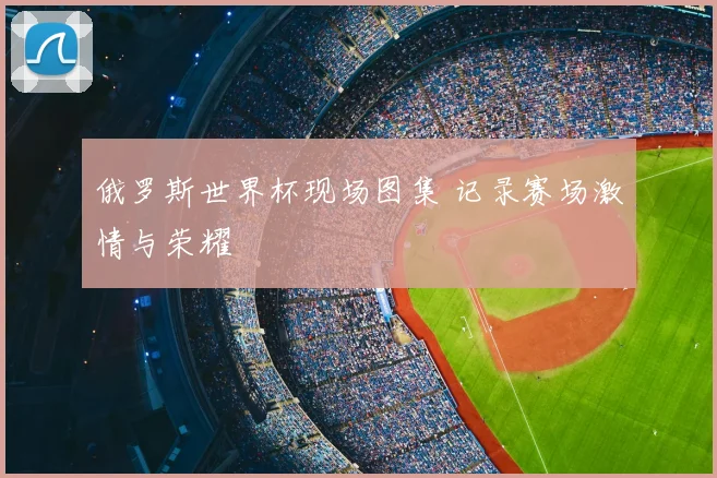 俄罗斯世界杯现场图集 记录赛场激情与荣耀